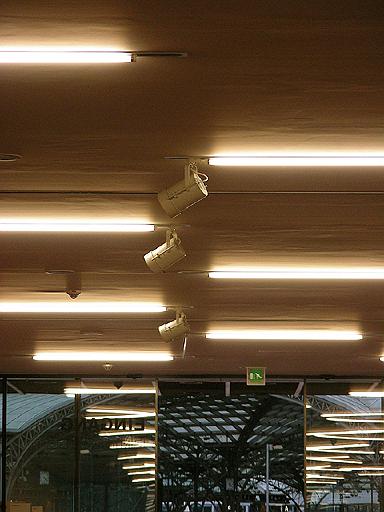 f01.JPG