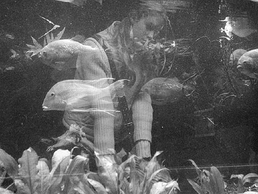 f05.jpg