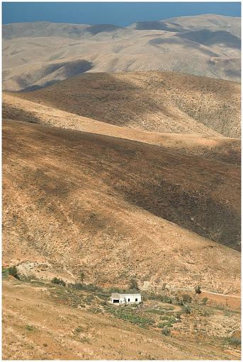 f02.jpg