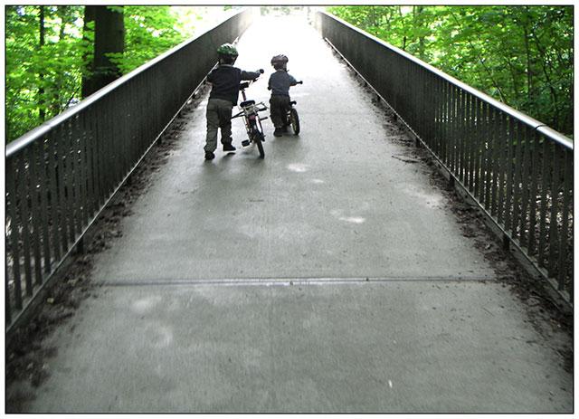 f01.jpg
