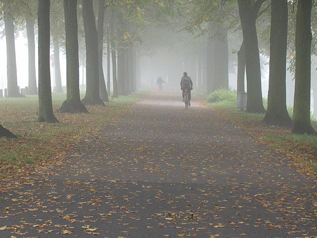 f02.jpg