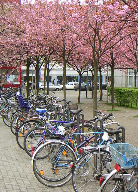 f04.jpg