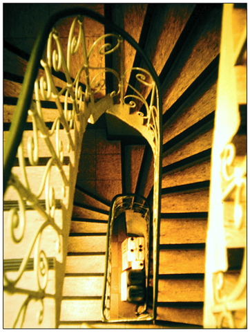 f02.jpg