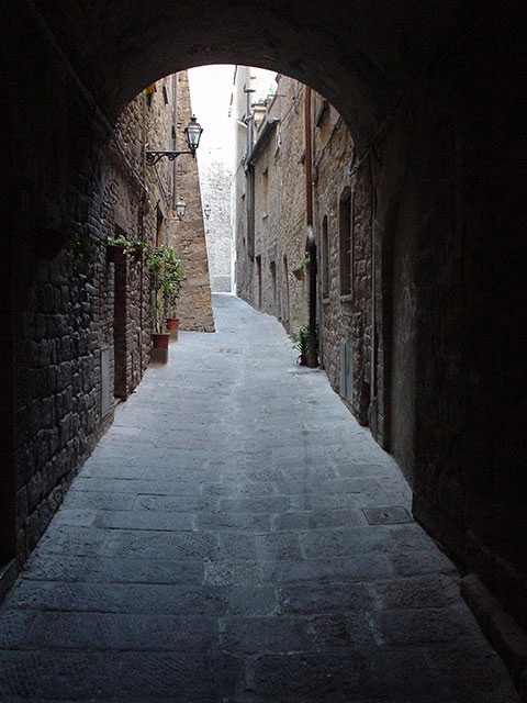 f05.jpg