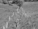 f03
