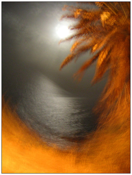 foto__08.jpg