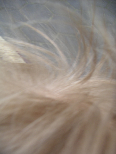 foto__12.jpg