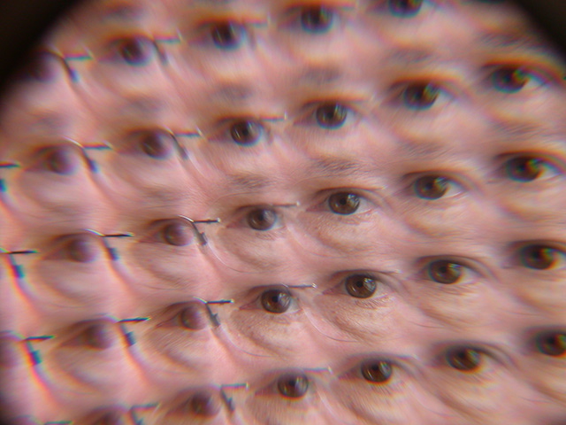 foto__24.jpg