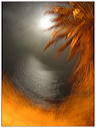 foto__08